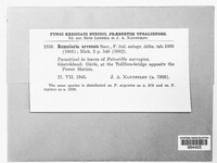Image Associated With the Occurence